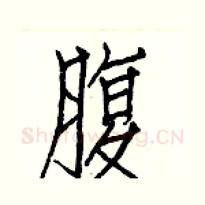 腹