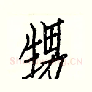 甥