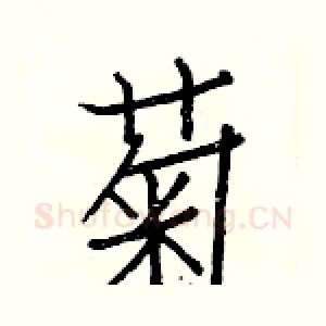菊