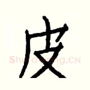 皮