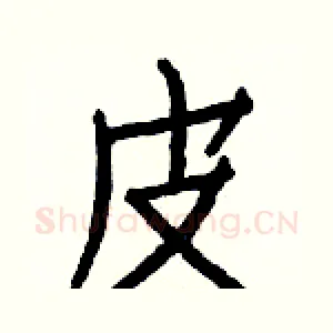 皮