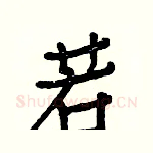若