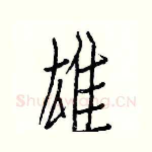 雄