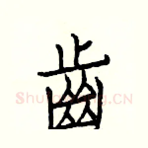 齒