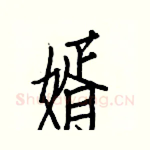 婿