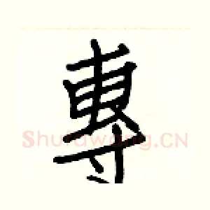 專