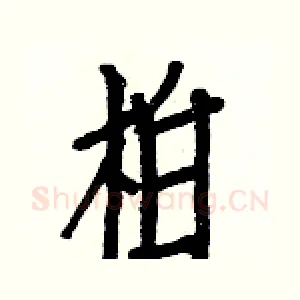 柏