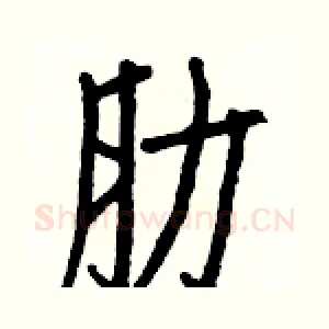 肋