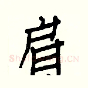 肩