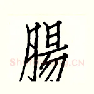 腸