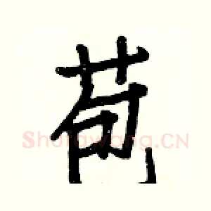 苞