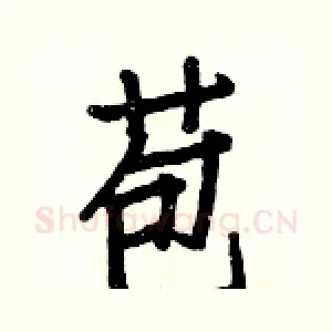 苞