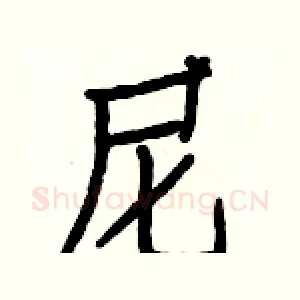 尼