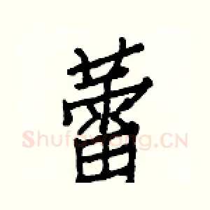 蕾