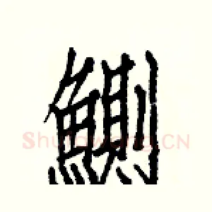 鰂