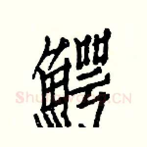 鰐