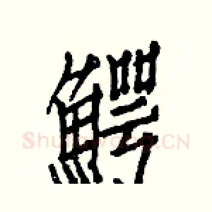 鰐
