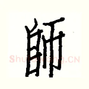 師