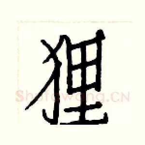 狸