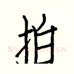 拍