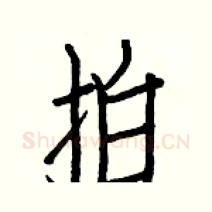 拍