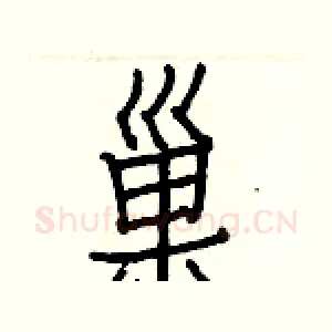 巢