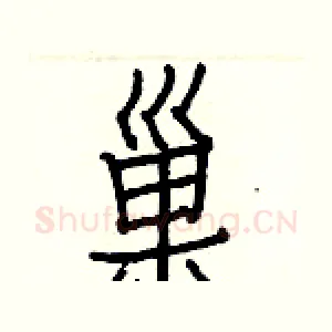 巢