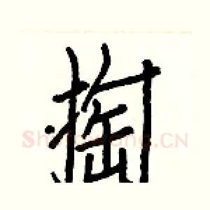 掏