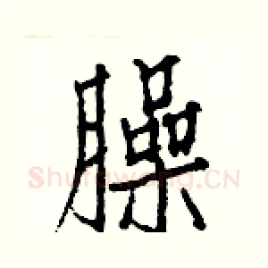 臊