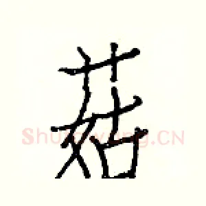 菇