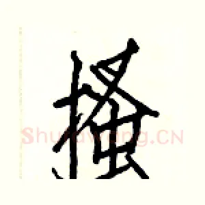 搔