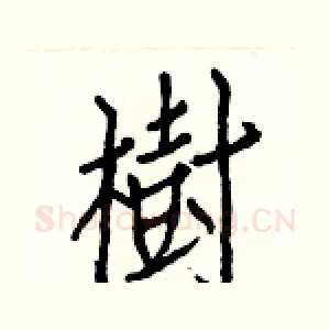 樹