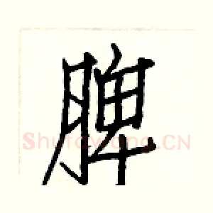 脾
