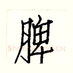 脾