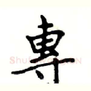 專