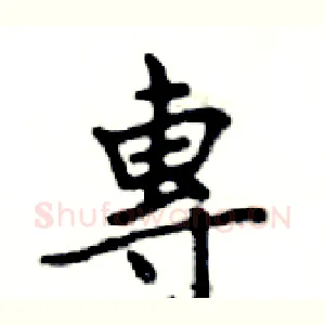 專