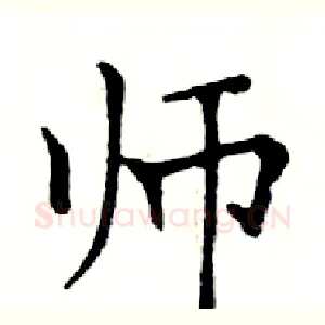 师