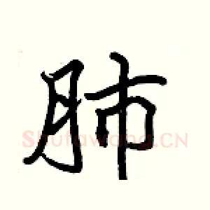 肺