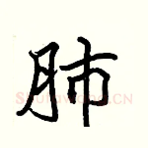 肺
