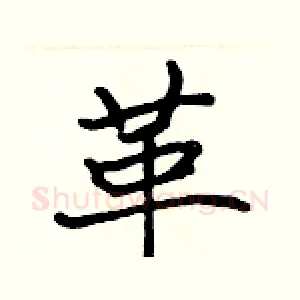 革
