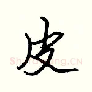 皮