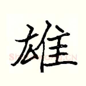 雄