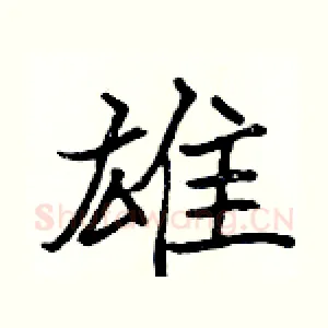 雄