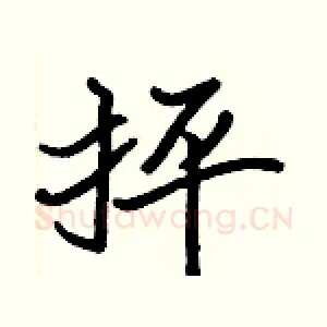 抨