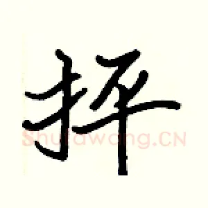 抨