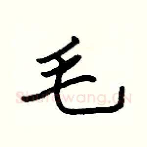 毛