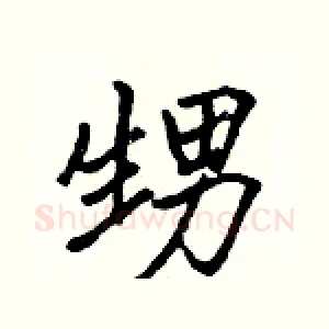 甥
