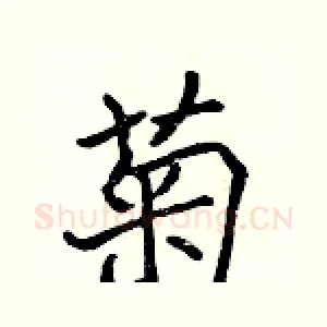 菊