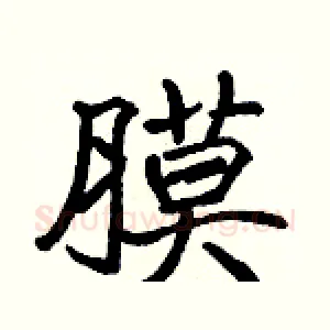 膜