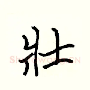 壯